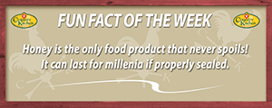Honey is the only food product that never spoils