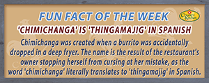 The literal translation of the word chimichanga is thingamajig