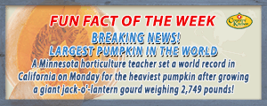 The world record for the largest pumpkin is 2,749 pounds