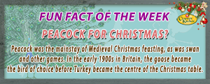 Peacock was the mainstray of Medieval Christmas feasting, as was swan