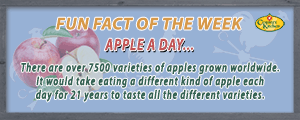 It would take eating a different kind of apple each day for 21 years to taste all the varieties